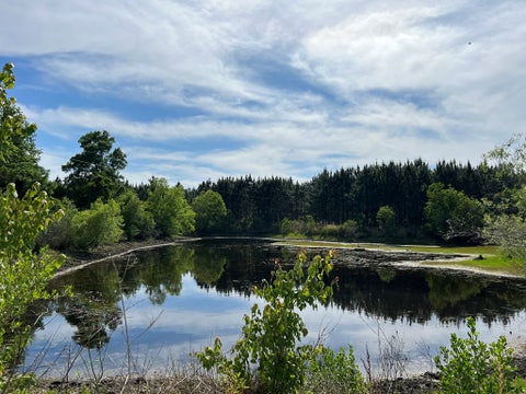Tiny photo for 668 Ten Mile Rd, Fitzgerald, GA 31750 (MLS # 142583)
