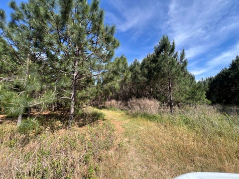 Tiny photo for 668 Ten Mile Rd, Fitzgerald, GA 31750 (MLS # 142583)