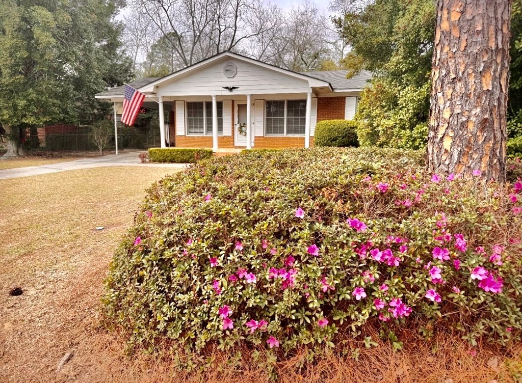 319 319 Irwin Street