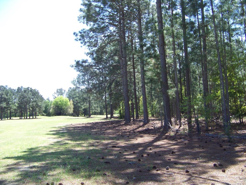 0 Eagle Ct
