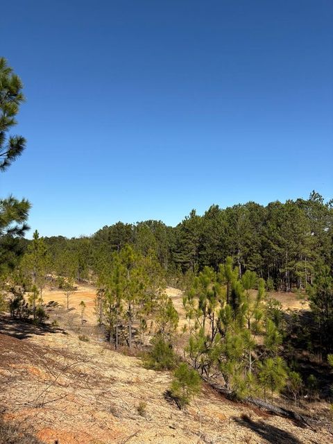 Na Sturgeon Creek Ch Rd Fitzgerald GA 31750