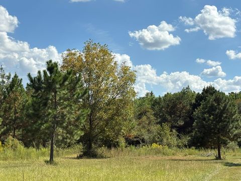 Photo of 376 West Rd, Poulan, GA 31781 (MLS # 138871)