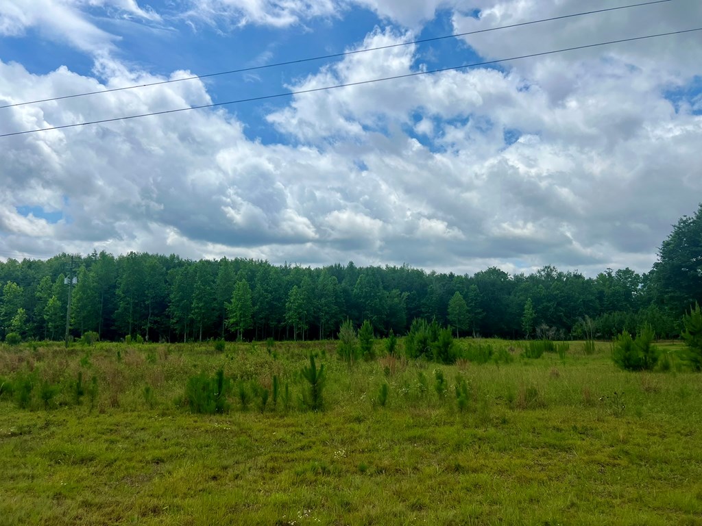 0 Hwy 82 E