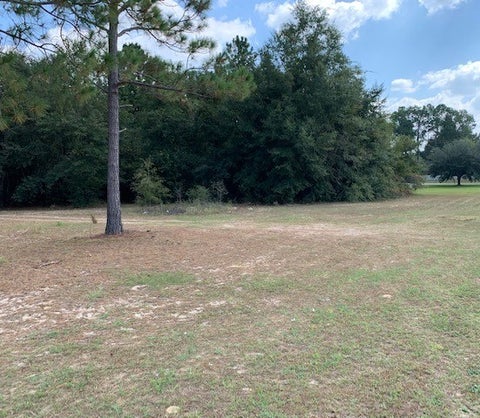 Tiny photo for 0 Carpenter Road, Tifton, GA 31794 (MLS # 143079)