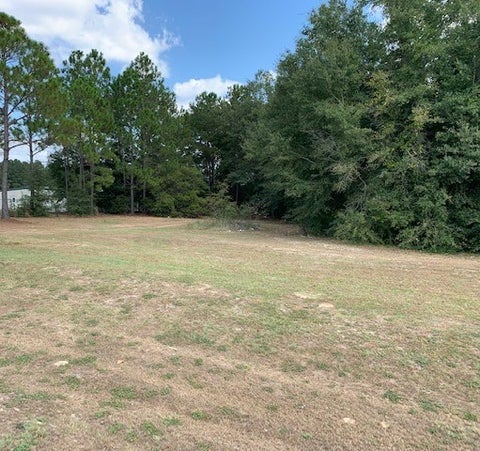 Tiny photo for 0 Carpenter Road, Tifton, GA 31794 (MLS # 143079)