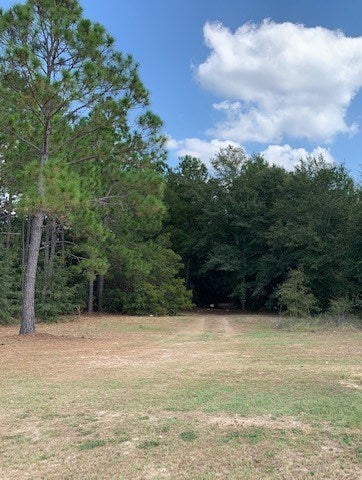 Tiny photo for 0 Carpenter Road, Tifton, GA 31794 (MLS # 143079)