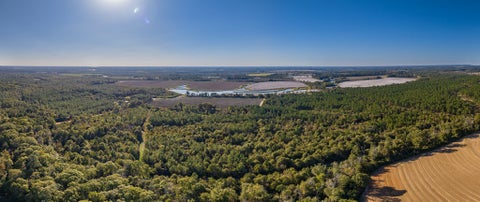 Tiny photo for 0 Baker Rd, Tifton, GA 31794 (MLS # 142642)