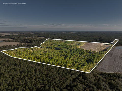 Tiny photo for 0 Baker Rd, Tifton, GA 31794 (MLS # 142642)