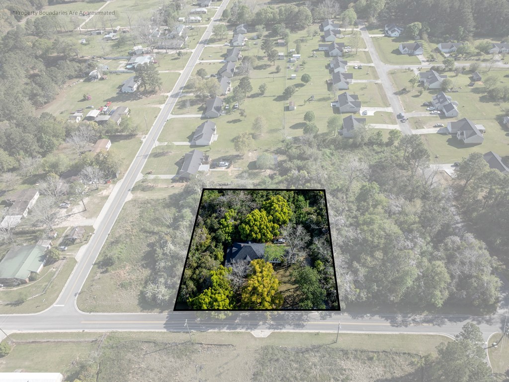 64 Palmetta Rd