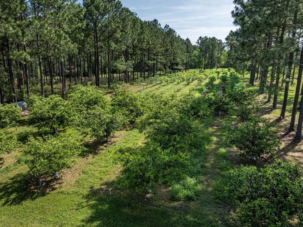 930 William Gibbs Road