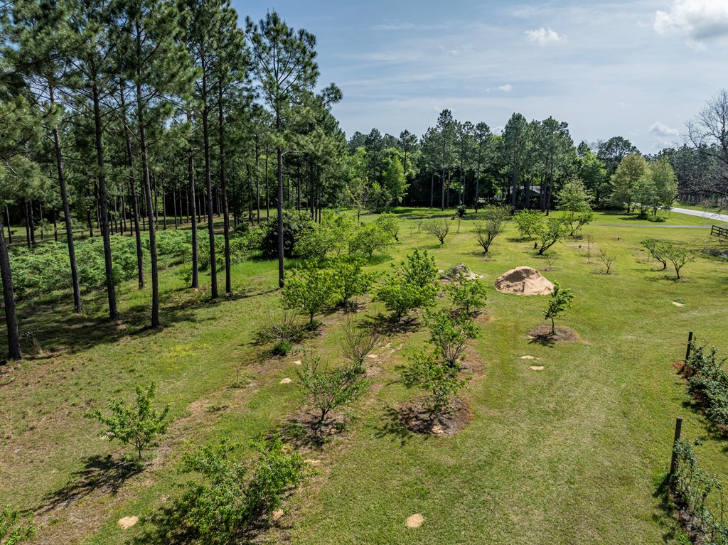 930 William Gibbs Road
