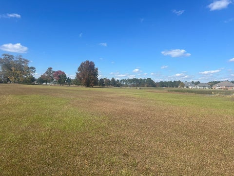 Tiny photo for 0 Belflower Rd, Tifton, GA 31794 (MLS # 139026)