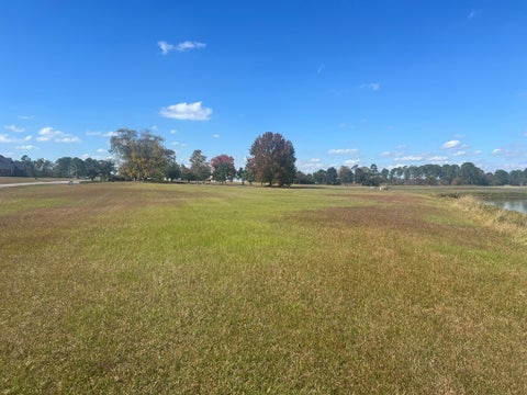 Tiny photo for 0 Belflower Rd, Tifton, GA 31794 (MLS # 139026)