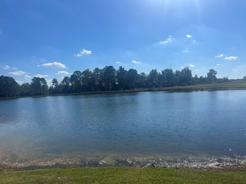 Tiny photo for 0 Belflower Rd, Tifton, GA 31794 (MLS # 139026)