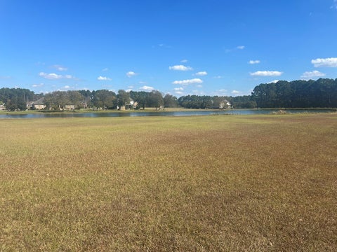 Tiny photo for 0 Belflower Rd, Tifton, GA 31794 (MLS # 139026)