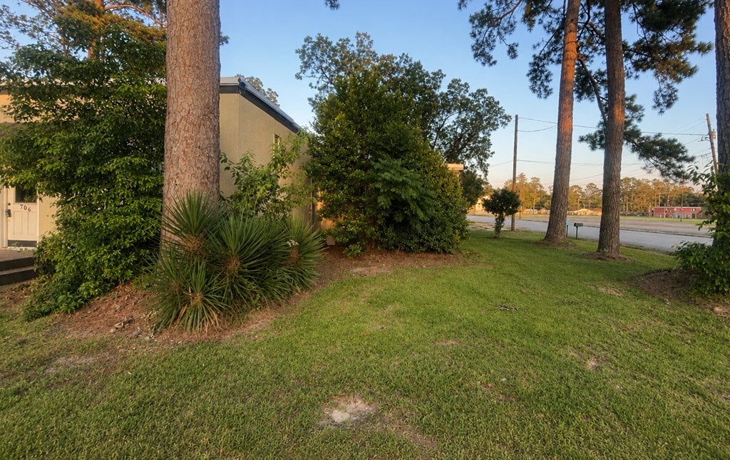 706 S Dogwood Drive