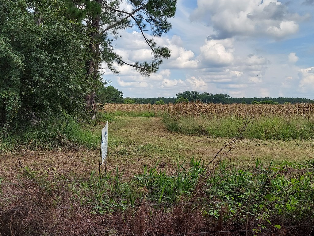 Tract 1 Harold Tyson Road