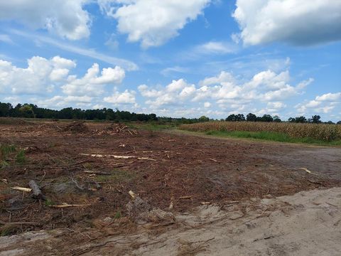 Tract 5 Jehu Tyson Road Tifton GA 31794