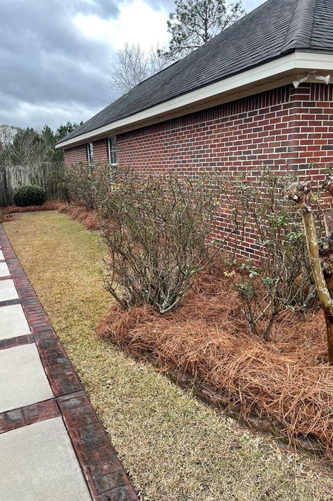Tiny photo for 225 Cypress Ridge Rd, Tifton, GA 31793 (MLS # 142997)