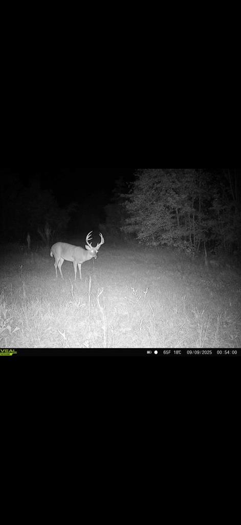 0 Calhoun area