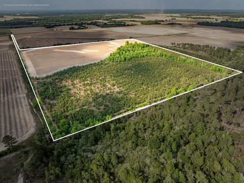 Photo of 0 Calhoun area, Sylvester, GA 31791 (MLS # 142582)