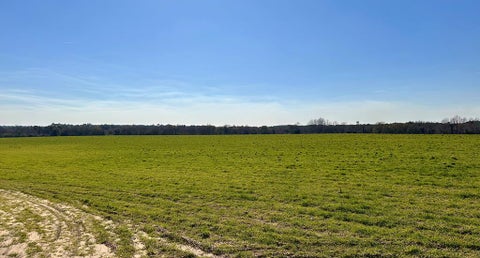 Tiny photo for 0 Tifton Eldorado Rd, Tifton, GA 31793 (MLS # 143218)