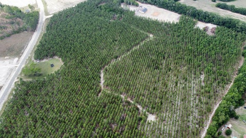 Tiny photo for 5294 Owens Rd, Blackshear, GA 31516 (MLS # 142669)