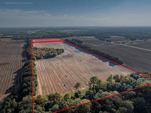 3431 Gladys Court Albany GA 31705