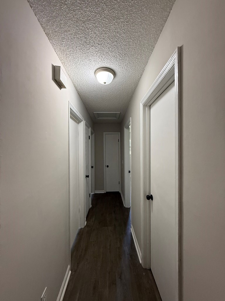 132 Blueberry Lane