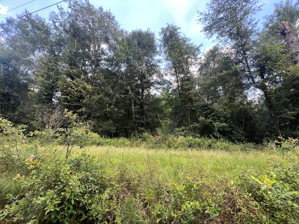 0 Shady Lane
