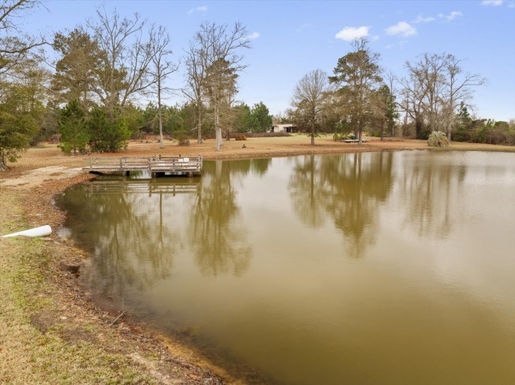 0 Blue Springs Rd