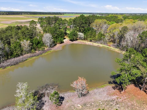 Tiny photo for 170 Charles McCrary Rd, Sylvester, GA 31791 (MLS # 142419)