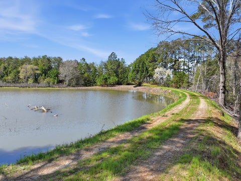 Tiny photo for 170 Charles McCrary Rd, Sylvester, GA 31791 (MLS # 142419)