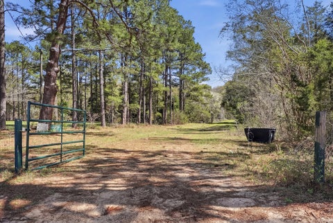 Tiny photo for 170 Charles McCrary Rd, Sylvester, GA 31791 (MLS # 142419)
