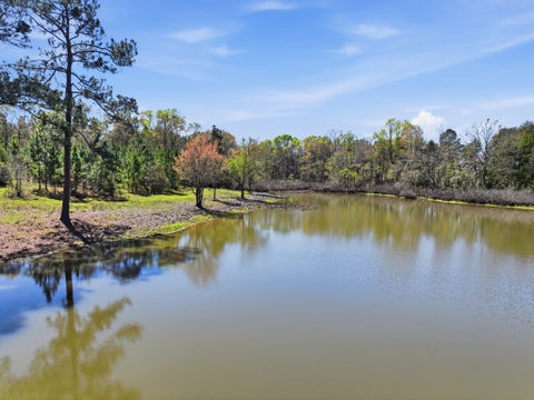 Tiny photo for 170 Charles McCrary Rd, Sylvester, GA 31791 (MLS # 142419)