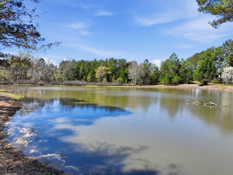 Tiny photo for 170 Charles McCrary Rd, Sylvester, GA 31791 (MLS # 142419)