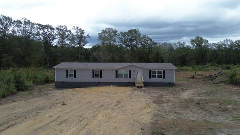 Photo of 565 Sands Drive, Poulan, GA 31781 (MLS # 139005)