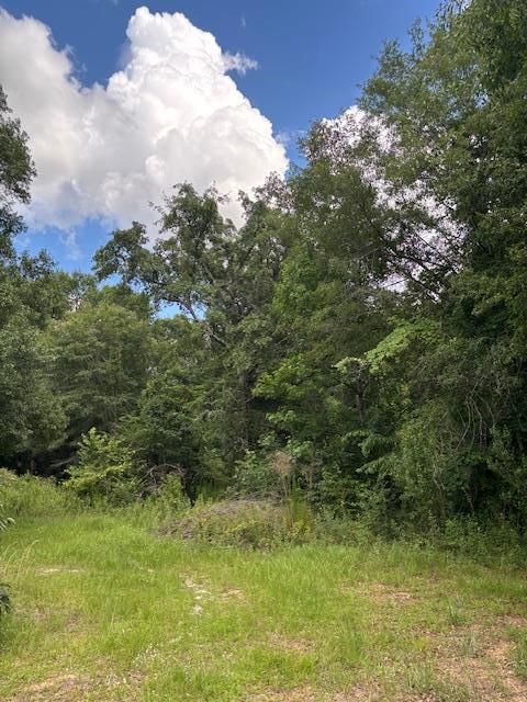 201 Worthwood Road Albany GA 31705