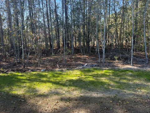 Tiny photo for 52 Sloans Village Way SE, Moultrie, GA 31768 (MLS # 143011)