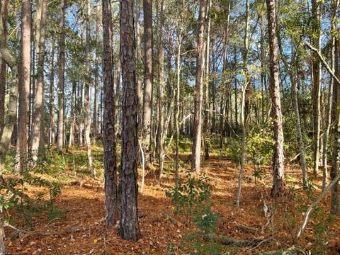 Tiny photo for 0 Old Ocilla Road, Tifton, GA 31794 (MLS # 143210)