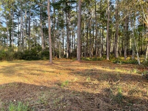 Tiny photo for 0 Old Ocilla Road, Tifton, GA 31794 (MLS # 143210)