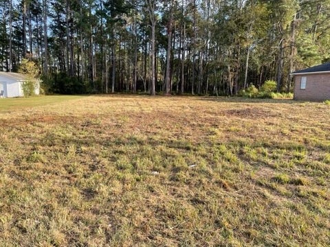 Tiny photo for 0 Old Ocilla Road, Tifton, GA 31794 (MLS # 143210)