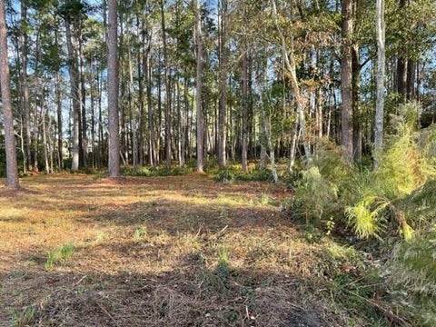 Tiny photo for 0 Old Ocilla Road, Tifton, GA 31794 (MLS # 143210)