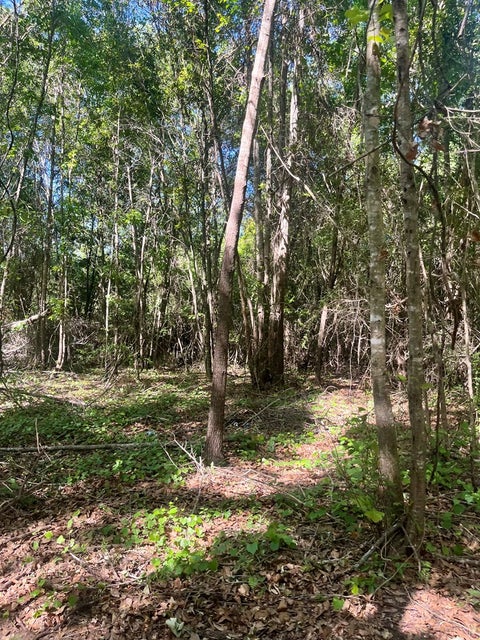 Tiny photo for 376 West Rd, Poulan, GA 31781 (MLS # 143034)