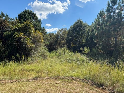 Tiny photo for 376 West Rd, Poulan, GA 31781 (MLS # 143034)