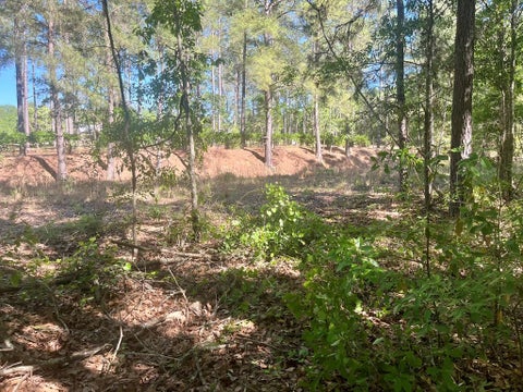 Tiny photo for 376 West Rd, Poulan, GA 31781 (MLS # 143034)