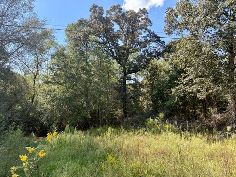 Tiny photo for 376 West Rd, Poulan, GA 31781 (MLS # 143034)