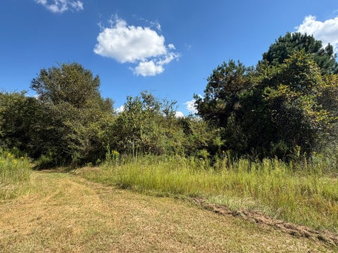 Tiny photo for 376 West Rd, Poulan, GA 31781 (MLS # 143034)