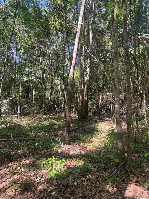 Tiny photo for 376 West Rd, Poulan, GA 31781 (MLS # 143034)