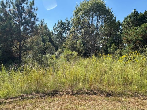 Tiny photo for 376 West Rd, Poulan, GA 31781 (MLS # 143034)